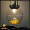 Graceful New Design Clear Glass Projection Light (Kam0327)